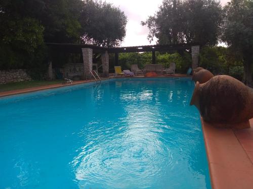 a swimming pool with a teddy bear in the water at Casa Dos Arrabidos in Torres Novas