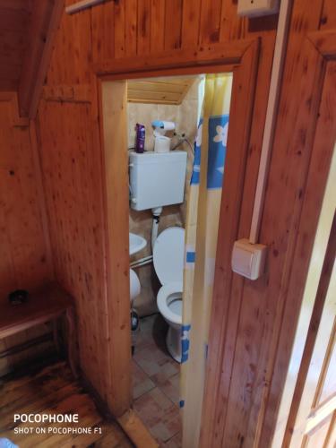 a bathroom with a toilet in a wooden house at Bungalovi Vukovic in Mojkovac