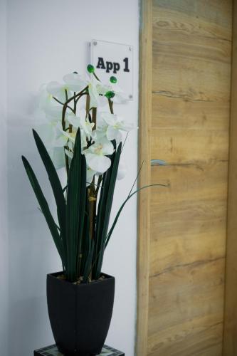 a black vase with white flowers on a table at Amarru Apartments in Piran