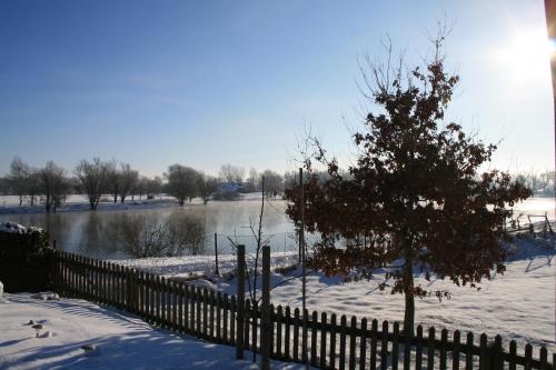 a fence and a tree in the snow next to a river at Hotel Seeblick garni in Gartow