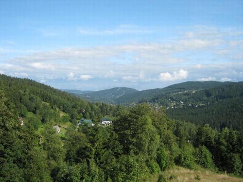 a view of a forest of trees with mountains in the background at Hotel Perla Jizery in Josefuv dul