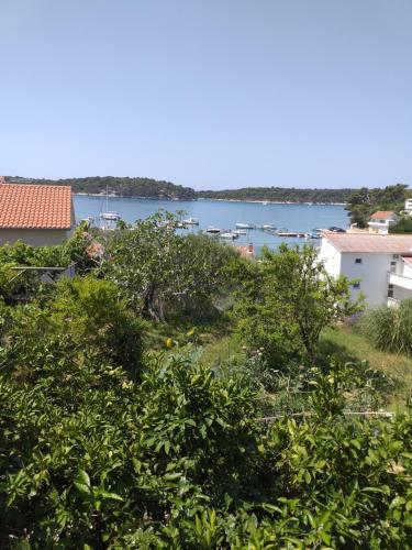 Afbeelding uit fotogalerij van Haus Mandarina in Rab