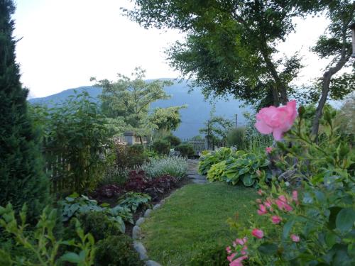 a garden with a pink flower in the middle at Ferienwohnung Mayr in Thurn