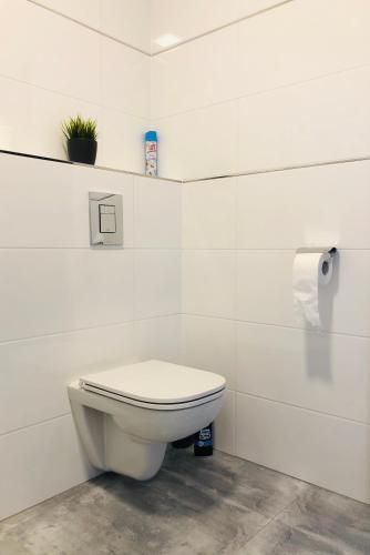 a white bathroom with a toilet and a roll of toilet paper at Ubytování V Zátiší Lednice in Lednice