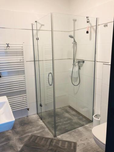a glass shower in a bathroom with a toilet at Ubytování V Zátiší Lednice in Lednice