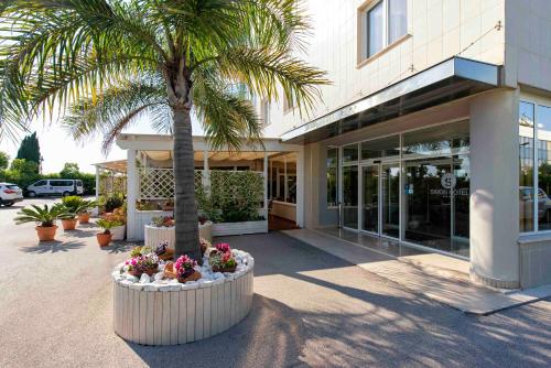 a palm tree in front of a building with a palm tree at Simon Hotel in Pomezia