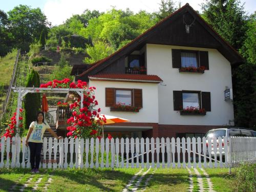 Malomkerék Vendégház 1. 2627 Zebegény, Malom utca 21/3 kép - 3