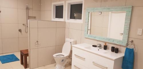 uma casa de banho com um WC, um lavatório e um chuveiro em Te Etu Villa 1 em Rarotonga