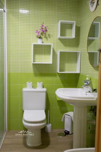 a green bathroom with a toilet and a sink at Apartamento Navajas MRZ Rentals in Barbate