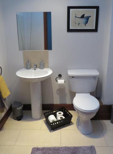 a bathroom with a white toilet and a sink at Wildwood Apartment in Carlingford