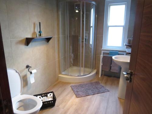 a bathroom with a shower and a toilet and a sink at Wildwood Apartment in Carlingford