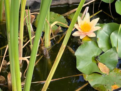 Fotografie z fotogalerie ubytování Ecolodge Beauregard v destinaci Treigny
