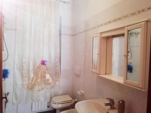 łazienka z toaletą, umywalką i zasłoną prysznicową w obiekcie B&B SAN FRANCESCO w mieście Bagnoregio