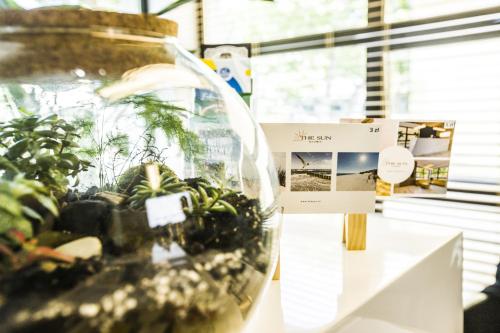 a glass vase filled with plants on a table at The Sun by Lubicz in Ustka