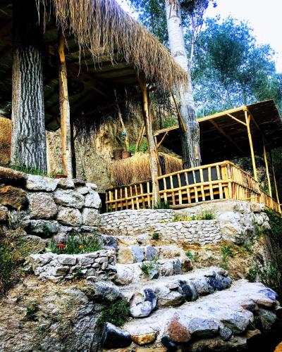 Zahrada ubytování Belisırma Cave Pansiyon