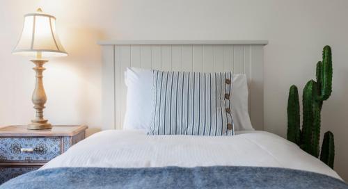 a bedroom with a bed with a lamp and a cactus at The Happy Pig in Kenmare
