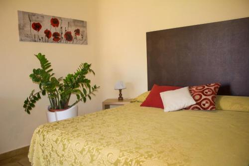 a bedroom with a bed and a potted plant at Hotel Grotticelle in Capo Vaticano