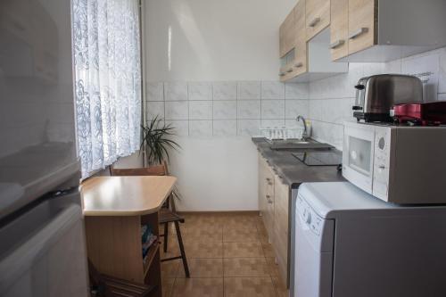 a small kitchen with a sink and a dishwasher at Pokoje Gościnne Wiola in Władysławowo