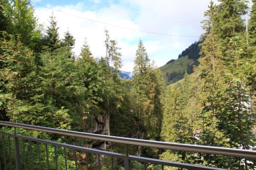 a view of a forest from a balcony at Griesalp Hotels in Kiental