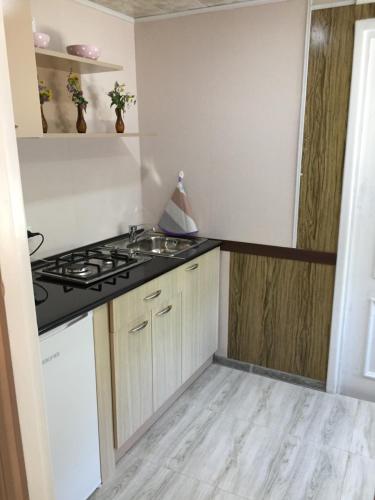 a kitchen with a stove and a counter top at Apple Tree Family Home (ECO) in Dzorakap