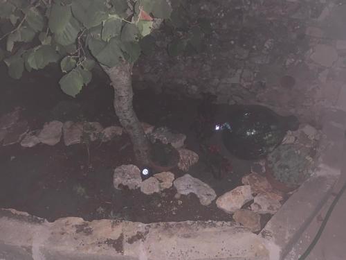 Φωτογραφία από το άλμπουμ του U’ Fore B&B Relax garden σε Noci