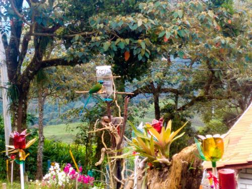 Gallery image of Casa de Campo con hermosa vista a Los Farallones in Versalles