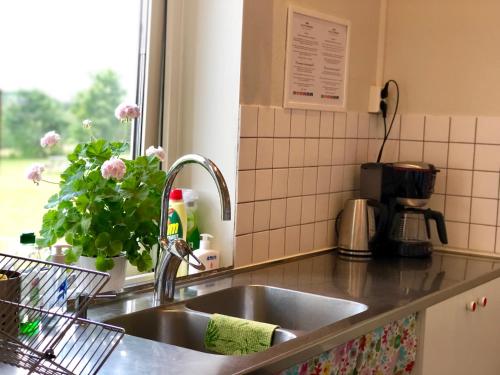 Cuisine ou kitchenette dans l'établissement Pensionat Söderåsen