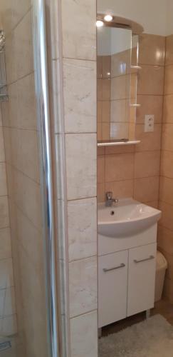 a bathroom with a sink and a mirror and a toilet at Apartman YVET in Sučany