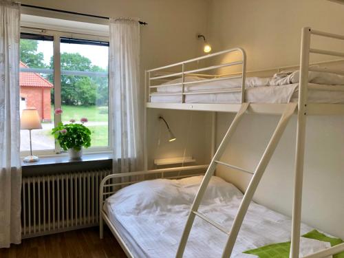 a bedroom with two bunk beds and a window at Pensionat Söderåsen in Ljungbyhed