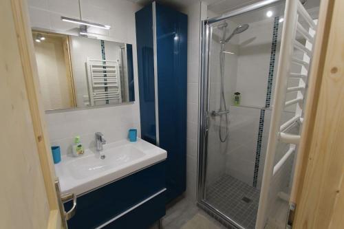 bagno con lavandino e doccia di Le Duplex d'Aussois ad Aussois