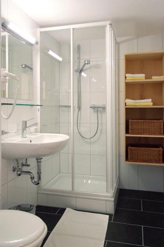 a bathroom with a shower and a sink at Biotel Bertel Naturappartements in Brand