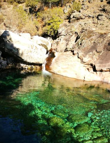 a body of water with rocks and green algae at Gredos Loft in Arenas de San Pedro