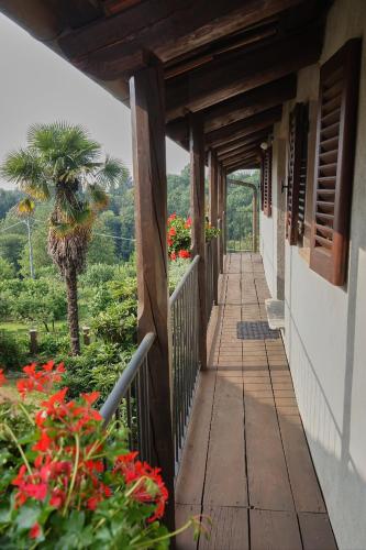 a porch of a house with flowers and a palm tree at Casa Borio in Bioglio
