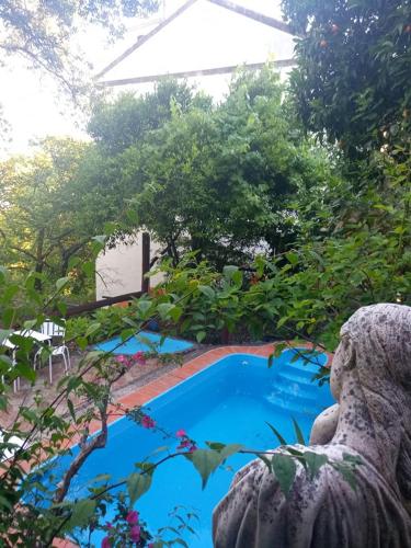 a swimming pool in the middle of a garden at Bica Boa in Monchique