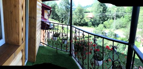 a balcony with a bunch of potted plants on it at Sadyba Domashniy zatyshok in Pilipets