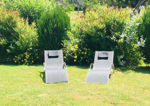 two lawn chairs sitting in the grass in a yard at Gîte de la Vallée in Dambach