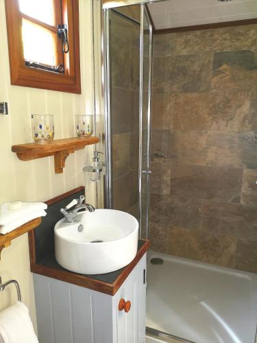 a bathroom with a sink and a shower at Parkway Hotel & Spa in Newport