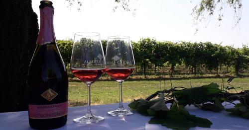 Nápoje v ubytování Agriturismo Vitae