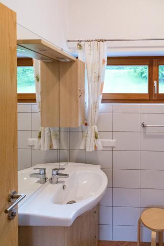 a bathroom with a sink and a mirror at Gartenlodge Auszeit in Nötsch