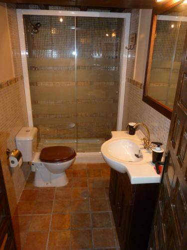 a bathroom with a toilet and a shower and a sink at Casa rural El Tejo in Bermiego