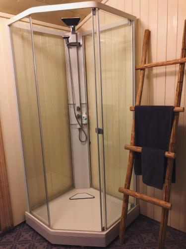 Eine Dusche mit Glasabtrennung neben einer Leiter in der Unterkunft Bakarstuo, Utpå Neset in Trofors