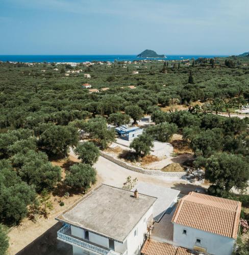 an aerial view of a house and trees at Olive yard house in Lithakia
