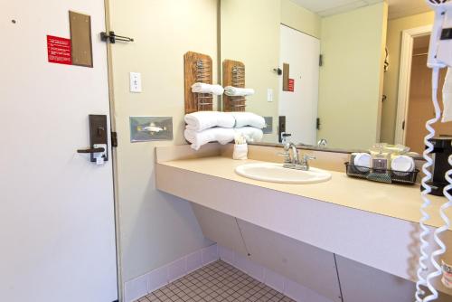 Koupelna v ubytování Pennyrile Forest State Resort Park