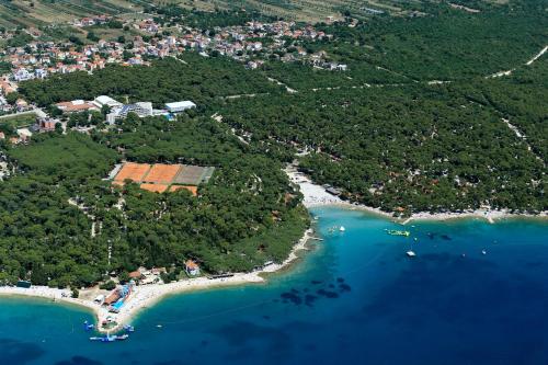 Apartment Alba Maris