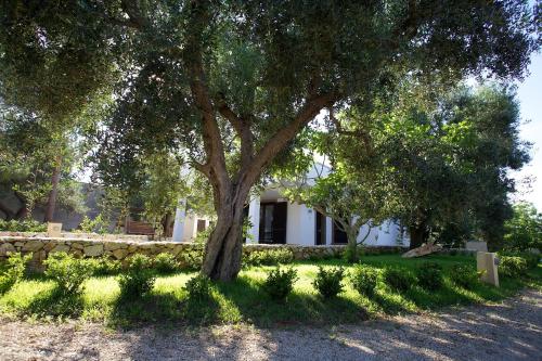 Gallery image of I Giardini di Demetra B&B in Galatone