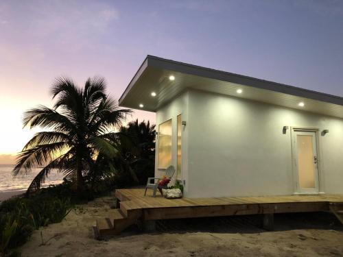 a small white house on the beach with a palm tree at Mika's Resort in Colebrooke Dale