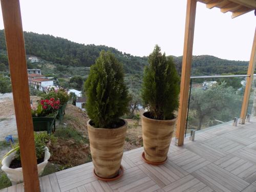 two potted trees in large vases on a porch at Melina Skiathos in Kolios