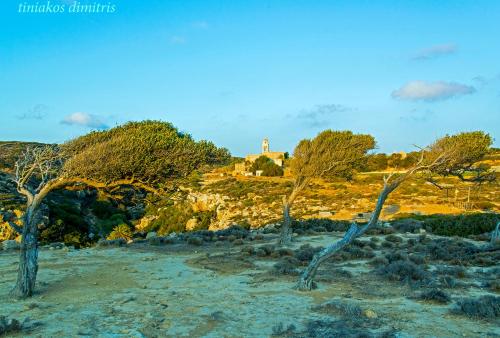 a group of trees with a lighthouse in the background at Villa Kalliopi ΙnCreteble Cretan Resindences Collection in Xerokampos