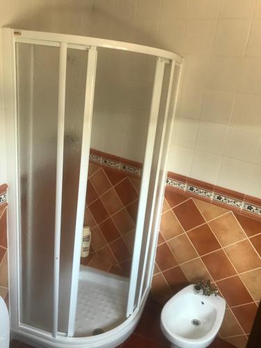 y baño con ducha, aseo y lavamanos. en Alojamiento Rural '' Los Ciruelillos'', en Trevélez