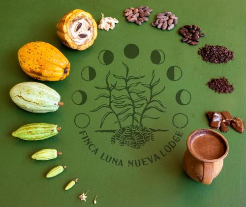 a table with a sign with a tree and some food at Finca Luna Nueva Lodge in Fortuna
